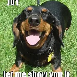 Joy-let-me-show-you-it