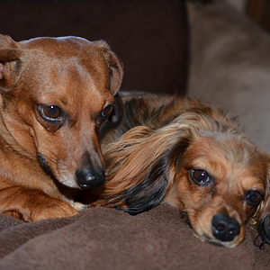 Sam and Molly