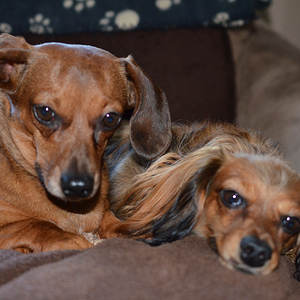 Sam and Molly