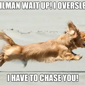 Chase the mailman