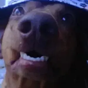 Hat2