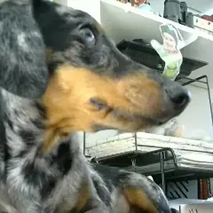 Picture 31.jpg