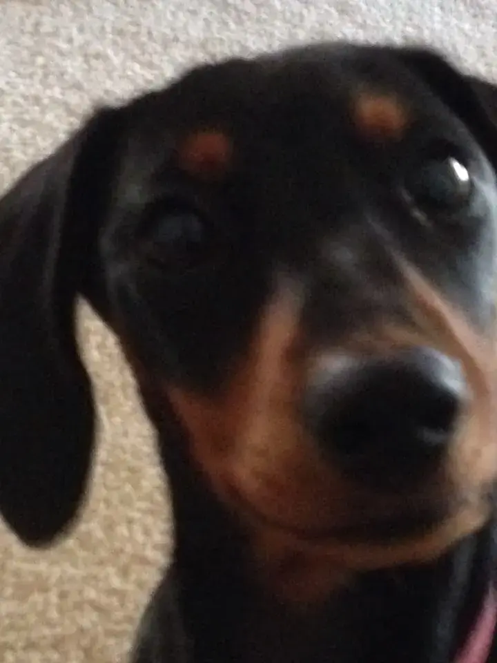 Charley_CloseUp