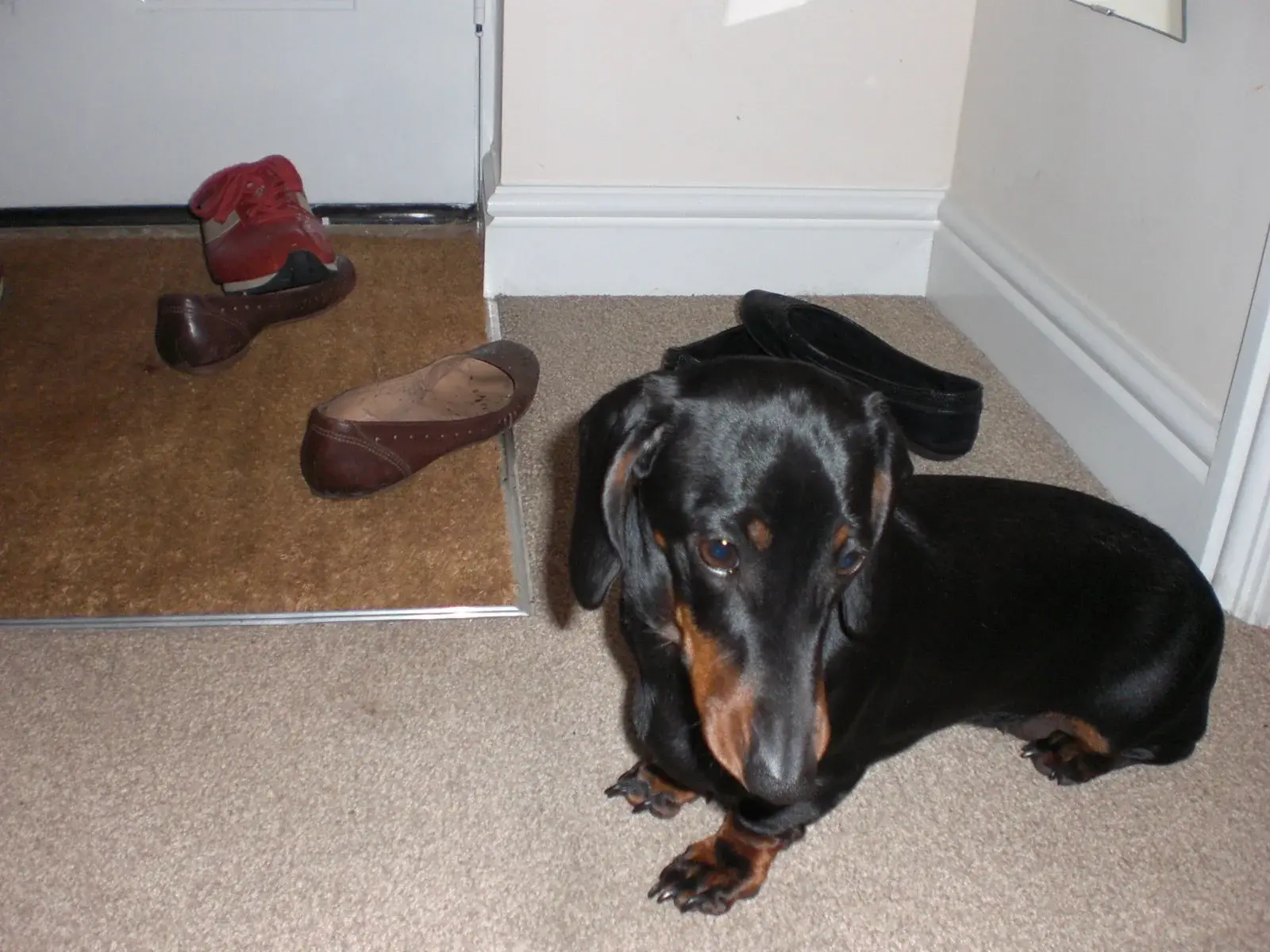 Geoff_and_bettie_052
