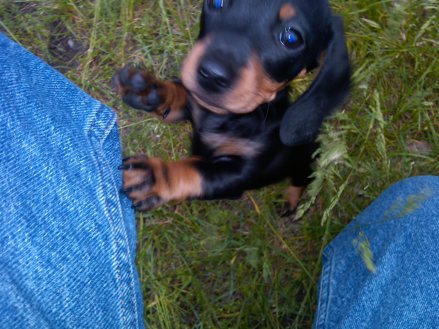 IMG00128-20110528-1753