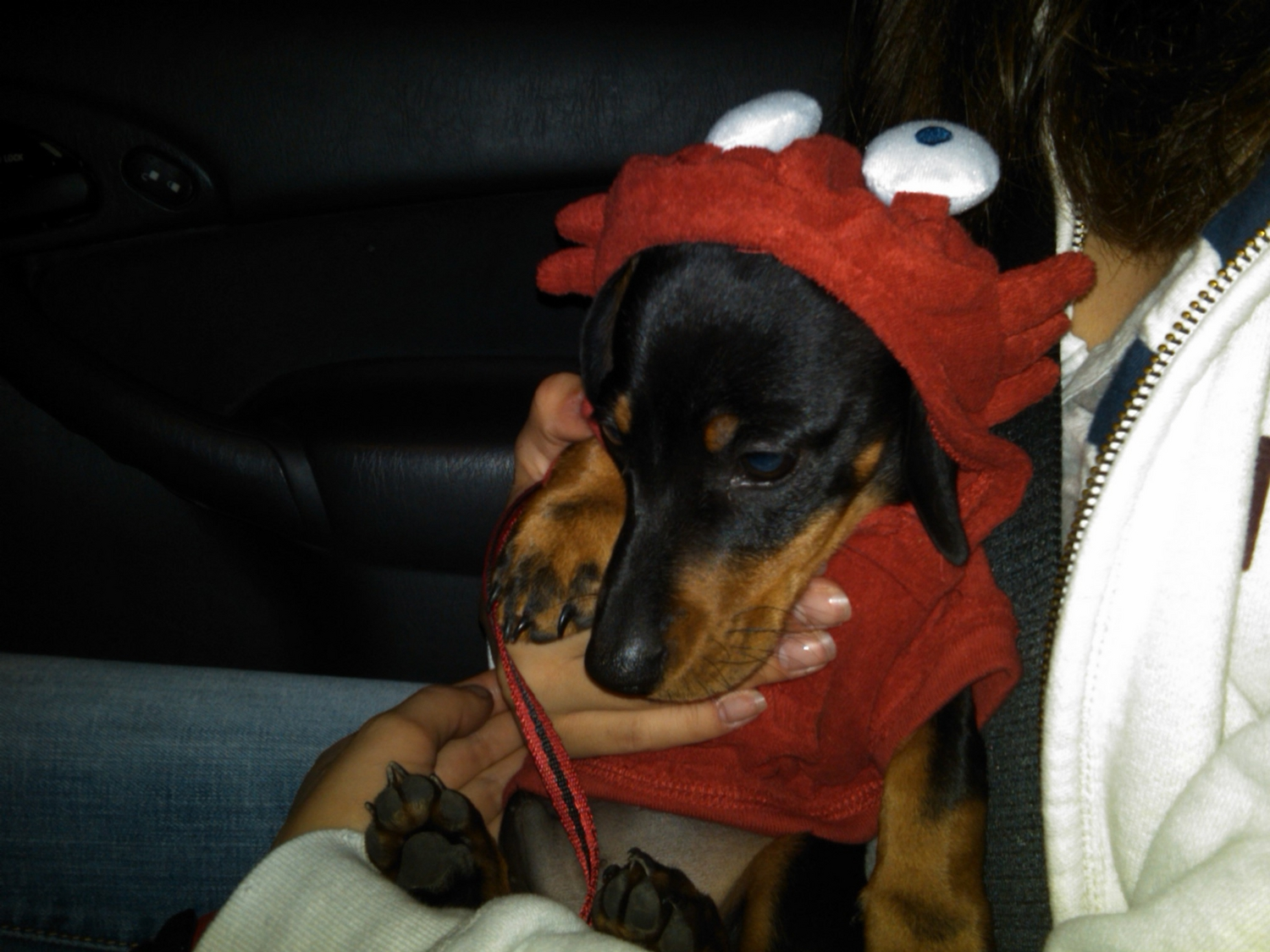 IMG00169-20110624-2044