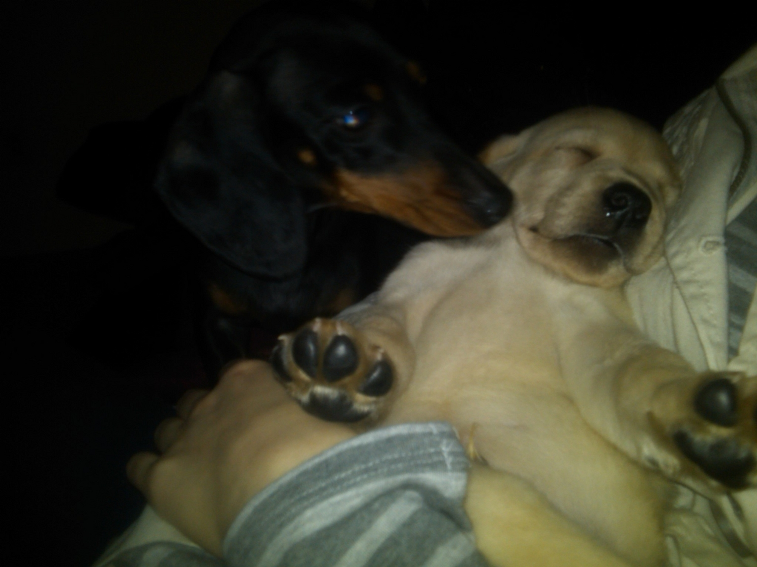 IMG00542-20120216-1953