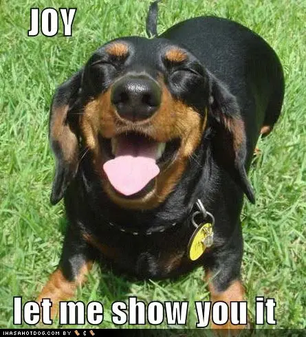 Joy-let-me-show-you-it