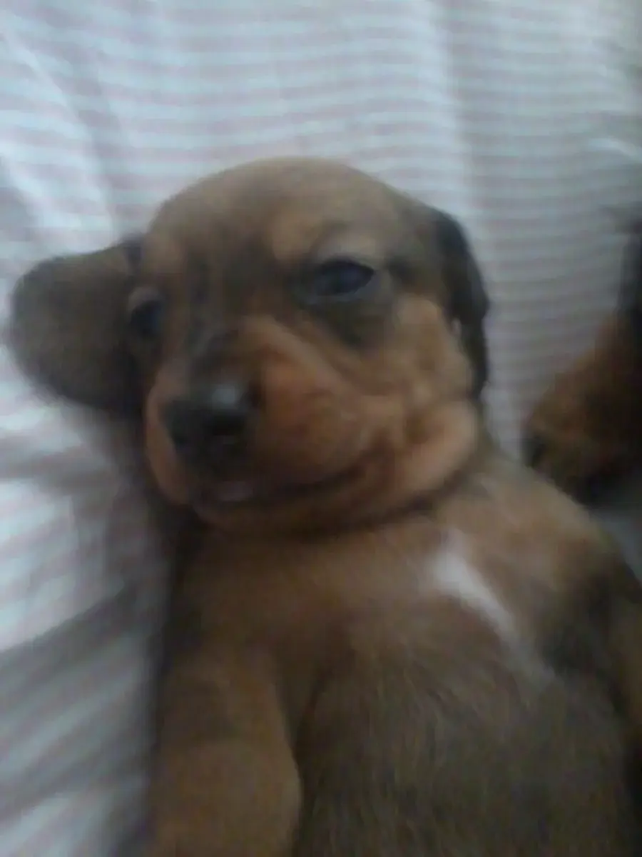 Photo0244