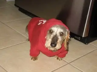 Xena-hoodie