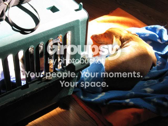 IMG_1657_zps080c5214.jpg