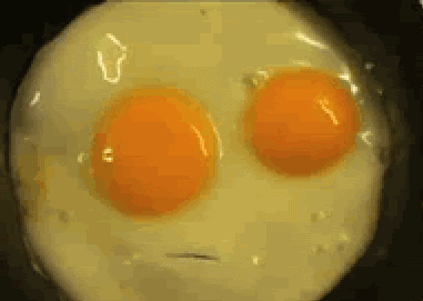 Eitje.gif