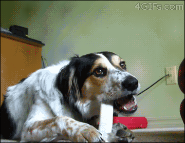 107.gif