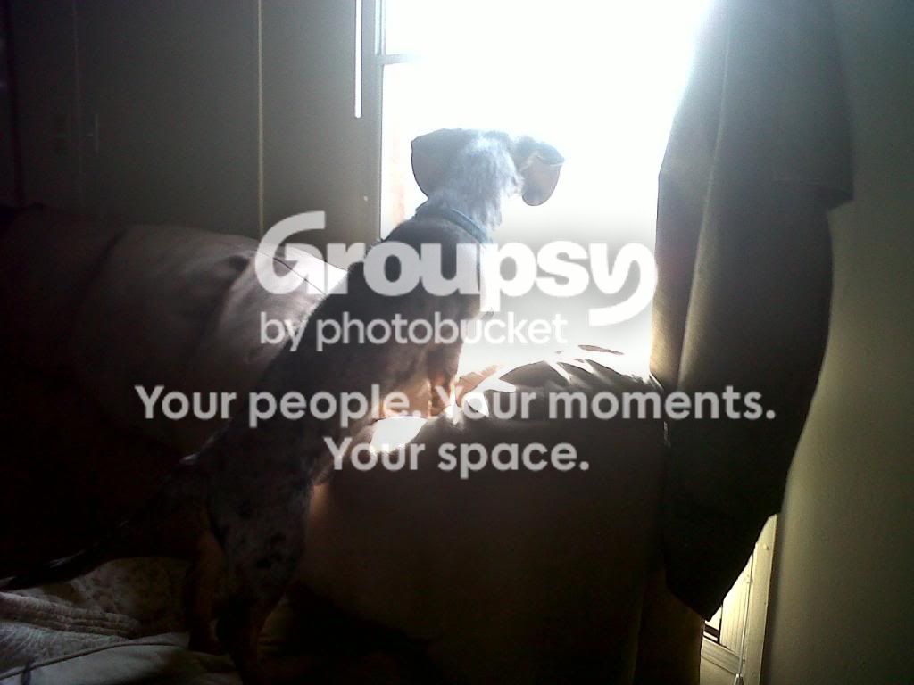 IMG00054-20130124-1425_zpse6a771d3.jpg
