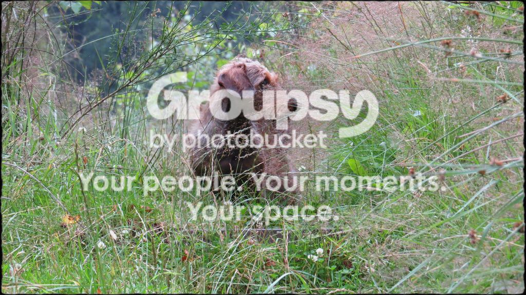 IMG_0996a.jpg