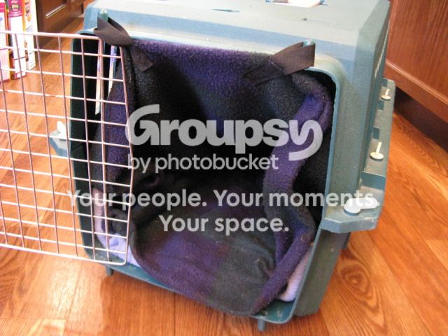 IMG_1528_zps24e142e7.jpg