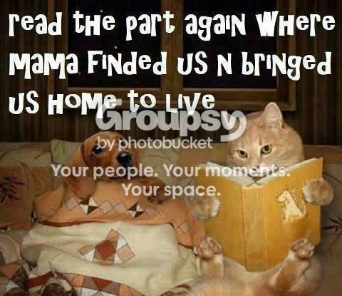 storytimedoxie.jpg