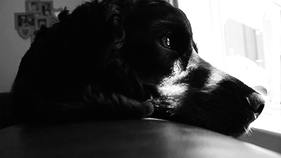 tumblr_mq1dt8JGqO1rj80ovo1_400.gif