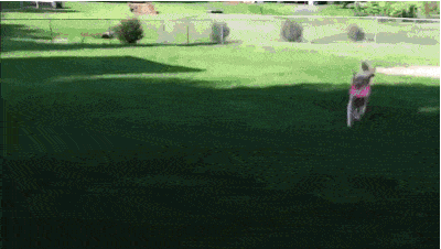 what-the-what-9.gif