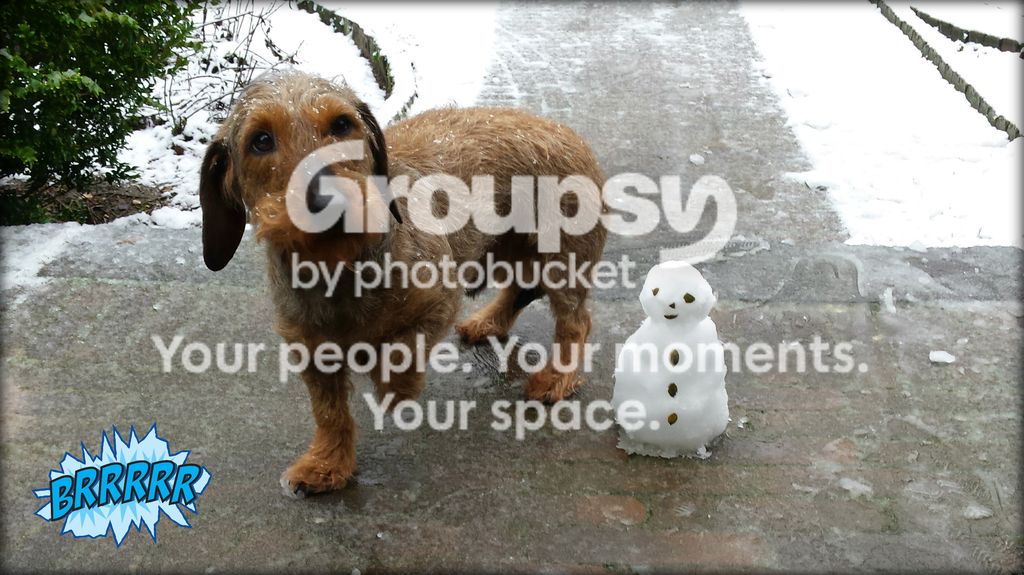 Mokka%20sneeuwpop%20a.jpg
