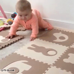 giphy.gif