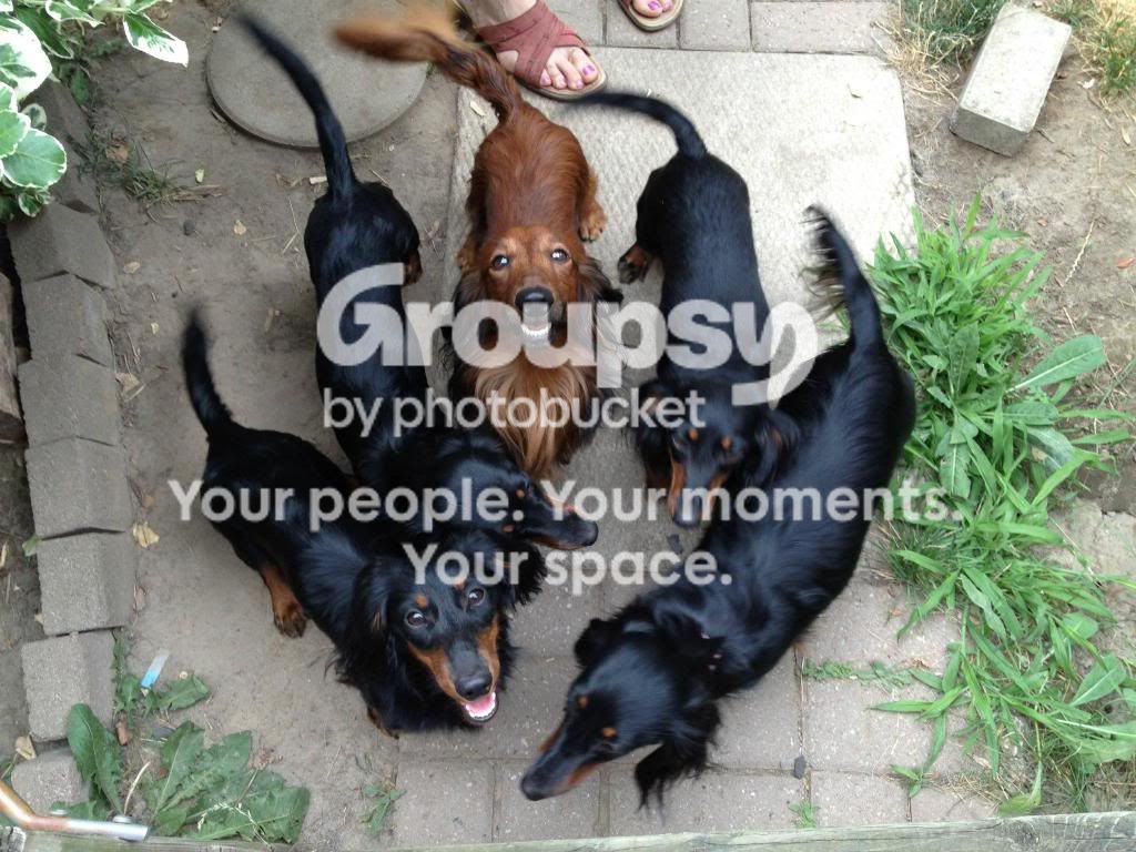Family_zpscd5974ee.jpg