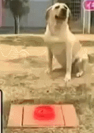 2irjK1F.gif