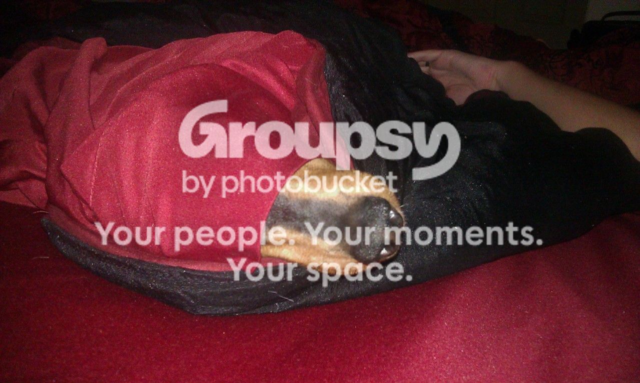 IMAG2681.jpg