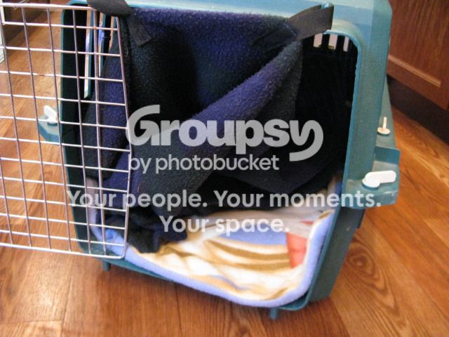 IMG_1529_zps655c882e.jpg