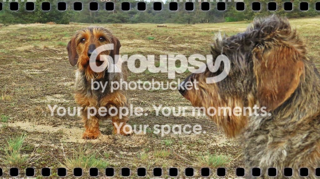 IMG_3933a.jpg
