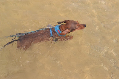DSC_0490_2.JPG