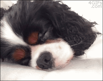 tumblr_mwbxc1wVsr1qdlh1io1_400.gif
