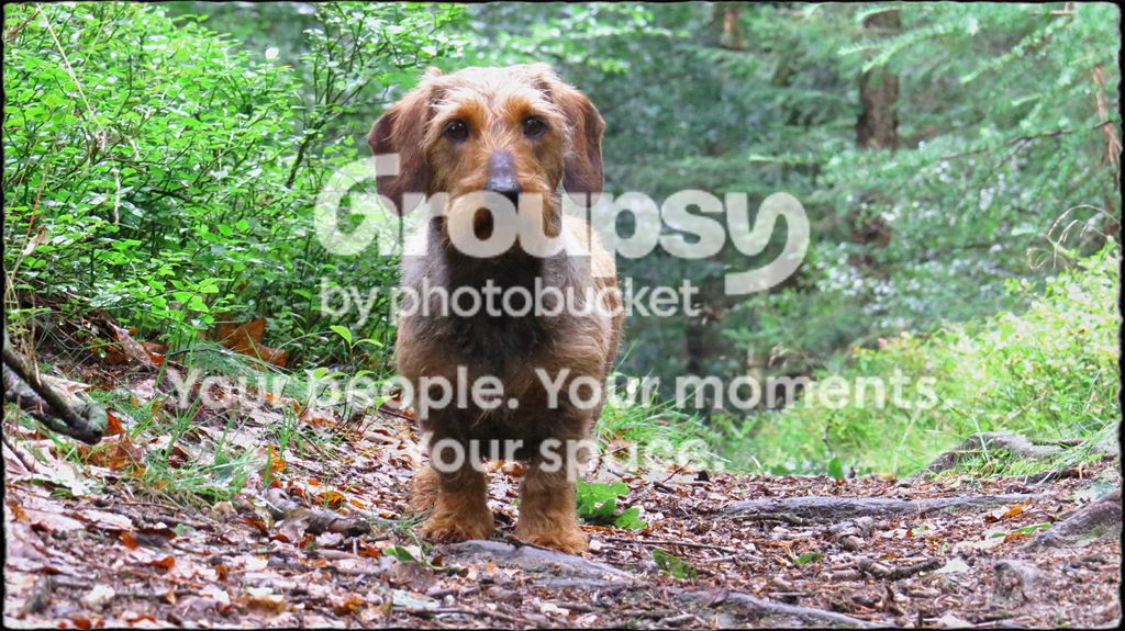 IMG_8573a.jpg