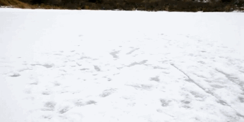tumblr_mach30SyGV1qlkly8.gif