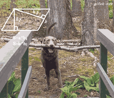 friyay-7.gif