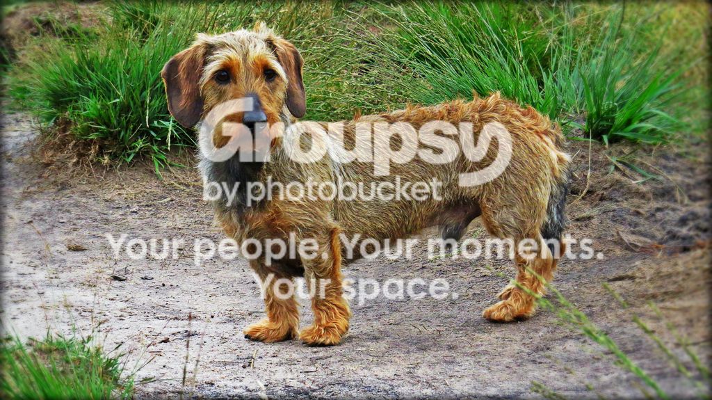 IMG_9175a.jpg