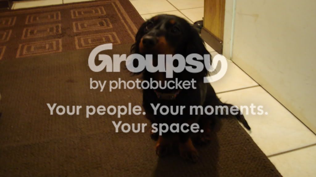JunoPuppy_zps59db9430.jpg