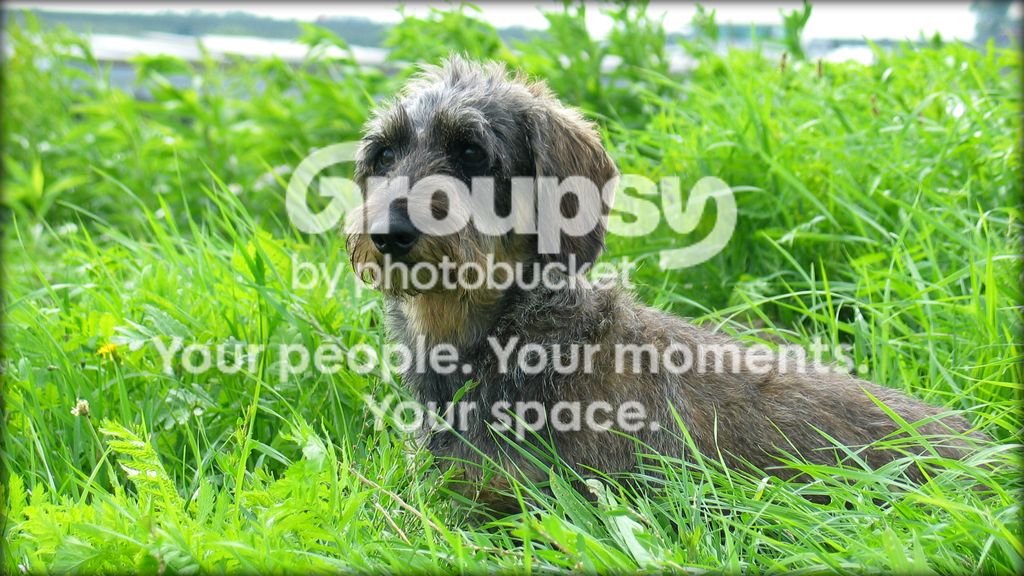 IMG_4187a.jpg