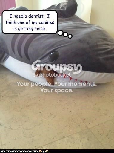 loosecanine_zps1d4d1e5c.jpg