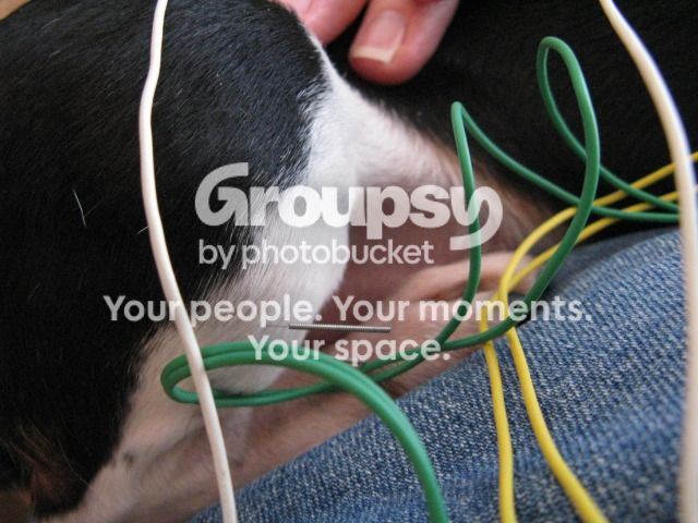 IMG_1509_zpscee7b74e.jpg