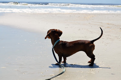 nola+beach+5.jpg