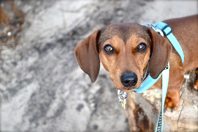 DSC_0618.JPG