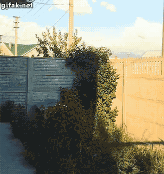 bye-july-13.gif