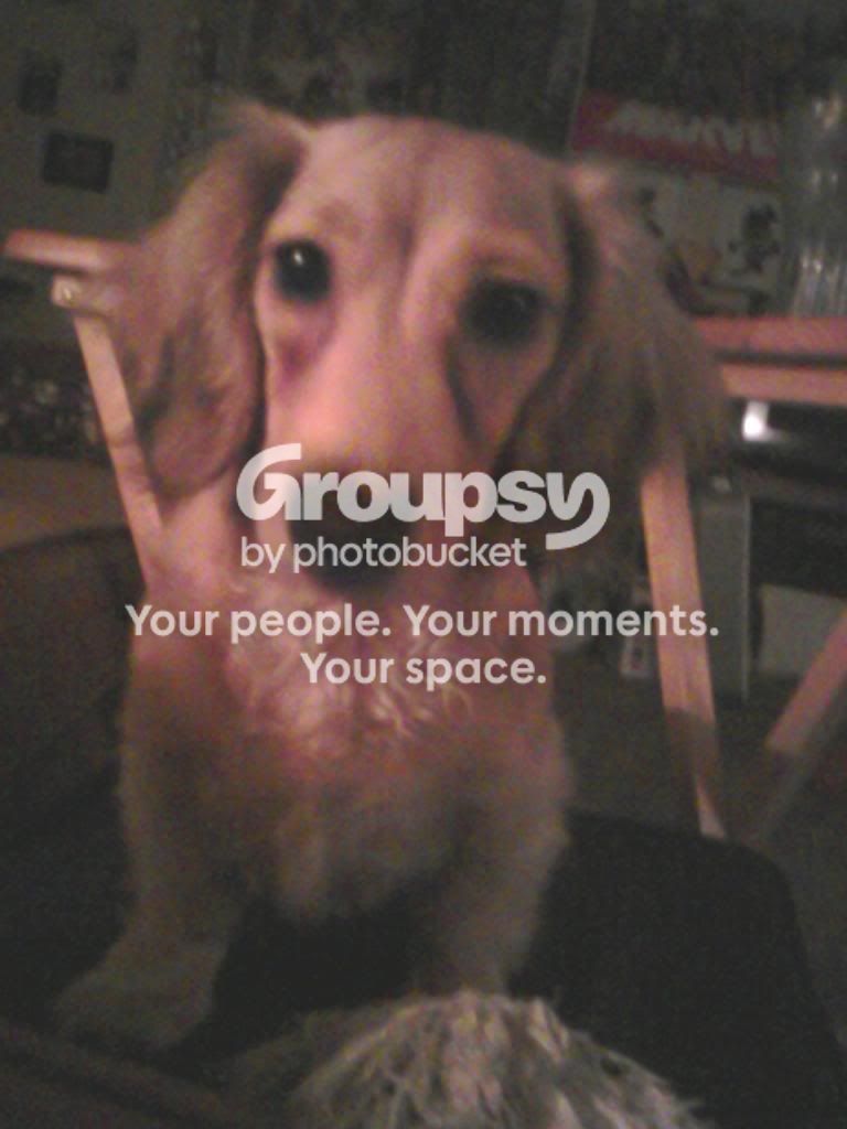 0717130028_zpsbcaf2752.jpg