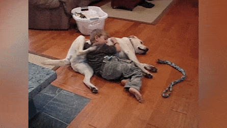 shirktember-to-remember-6.gif