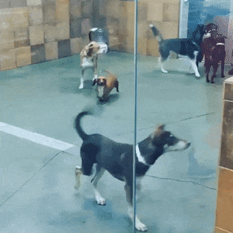 bye-july-16.gif