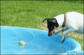bone-apple-tea-10.gif