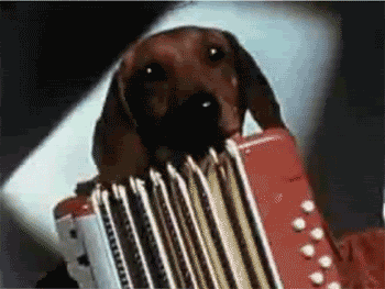 tumblr_mcijdwJ50j1roybpso1_400.gif